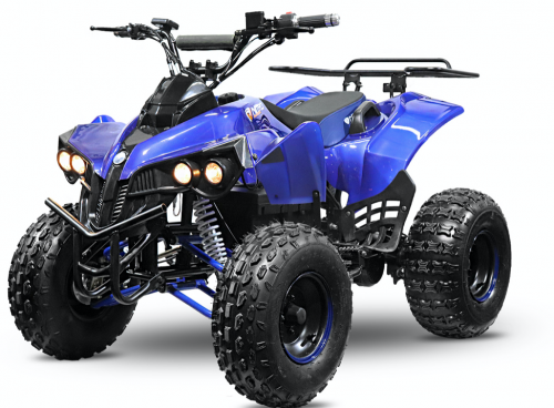 Kinder Elektro Quad Warrior 1000W 48V S8 Art. Nr. 1161247